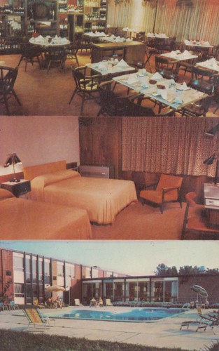 newyork vintage postcard motel batavia roomview poolview restaurantview triview treadwayinn