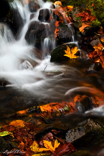 longexposure autumn leaves leaf fallcolors waterfalls pacificnorthwest columbiagorge stevenlamar lightfxstudio