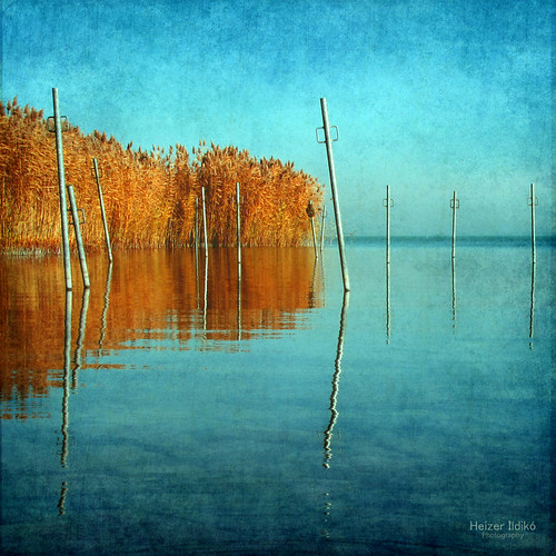 hungary természet balaton tó táj tájkép ősz tükröződés vízpart textúra canonsx10