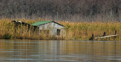 old camp house abandoned mobile rural landscape fishing cabin rustic alabama rusty southern bayou swamp wetland tensawriver trex7000