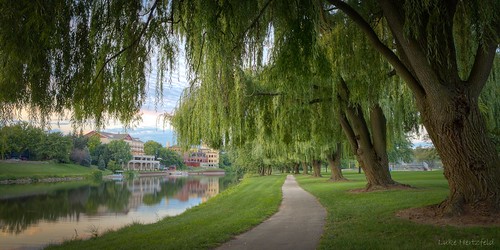 river landscape outdoors evening scenic willow walkingpath