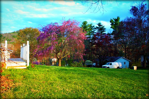 lighting pink blue trees red summer sky orange usa white black mountains colour green nature beautiful yellow azul clouds digital canon wow outdoors eos rebel lights landscapes nc spring cool nice colorful warm pretty shadows seasons gorgeous awesome vivid sunny carolina eastern scenics xsi luminosity colorphotoaward