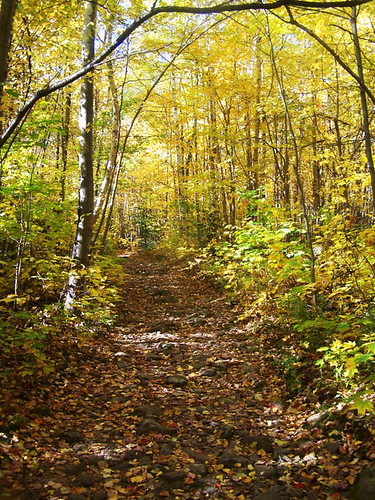 old mountain woods lyon trail following andyarthur
