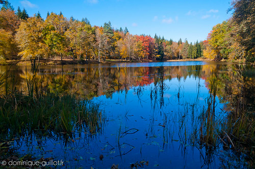 nature automne lac paysage château corrèze châteaudesédière